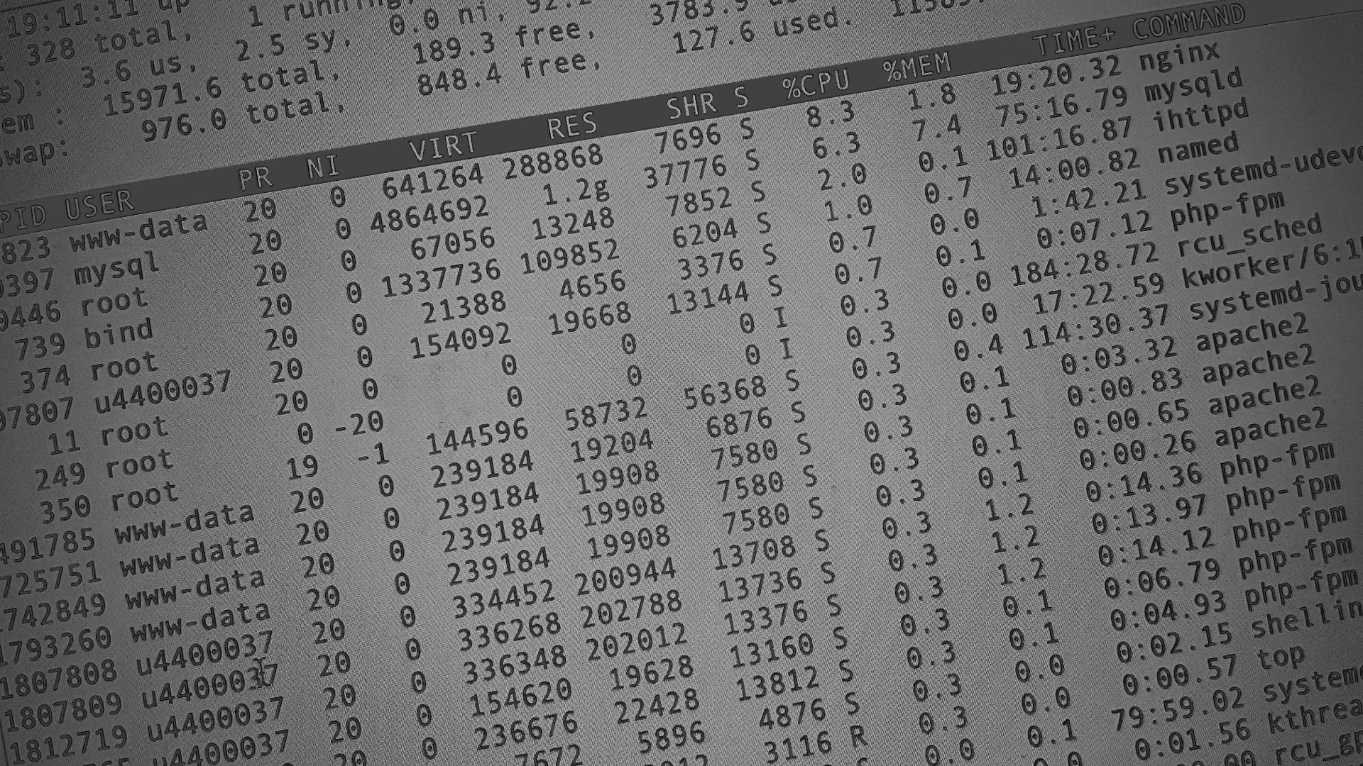 Настройка сервера в Гулькевичах